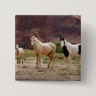 Badge Carré 5 Cm Arizona, Navajo réserve indienne, Chinle,