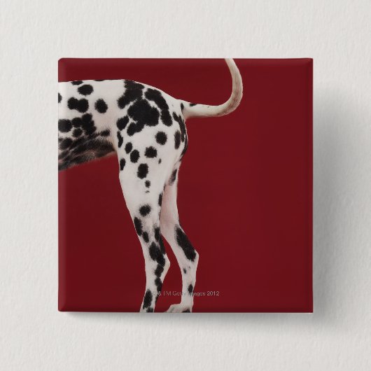 Badge Carré 5 Cm Arrière dalmate (Devant)