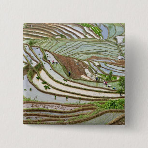 Badge Carré 5 Cm Asie, Chine, Yunnan, Jinping. Peuple Yi indigène