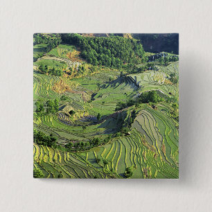 Badge Carré 5 Cm Asie, Chine, Yunnan, Yuanyang. Motif de vert