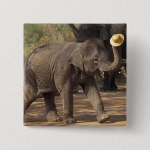 Badge Carré 5 Cm Asie, Thaïlande, Lampang S'inclinant avec chapeau