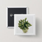 Badge Carré 5 Cm Asperges vertes (Devant & derrière)