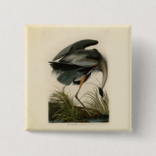 Badge Carré 5 Cm Audubon Great Blue Heron Marsh Bird