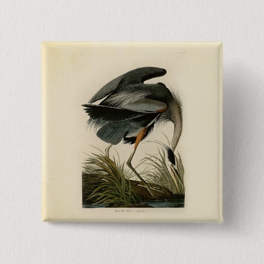 Badge Carré 5 Cm Audubon Great Blue Heron Marsh Bird (Devant)