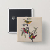 Badge Carré 5 Cm Audubon Peint Bunting Bird Wildlife (Devant & derrière)