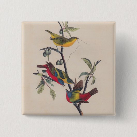 Badge Carré 5 Cm Audubon Peint Bunting Bird Wildlife (Devant)