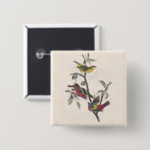 Badge Carré 5 Cm Audubon Peint Bunting Bird Wildlife (Devant & derrière)