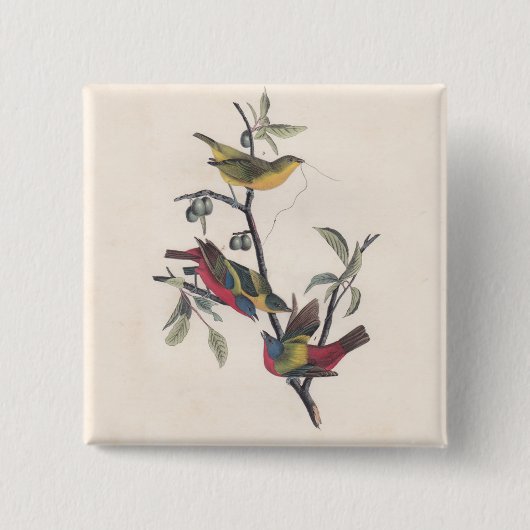 Badge Carré 5 Cm Audubon Peint Bunting Bird Wildlife (Devant)