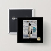 Badge Carré 5 Cm Augmenté par des pingouins (Devant & derrière)