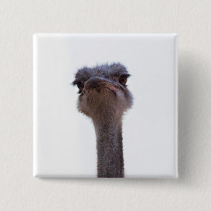 Badge Carré 5 Cm autruche