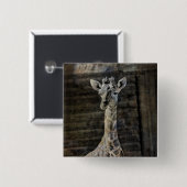Badge Carré 5 Cm Baby Giraffe (Devant & derrière)