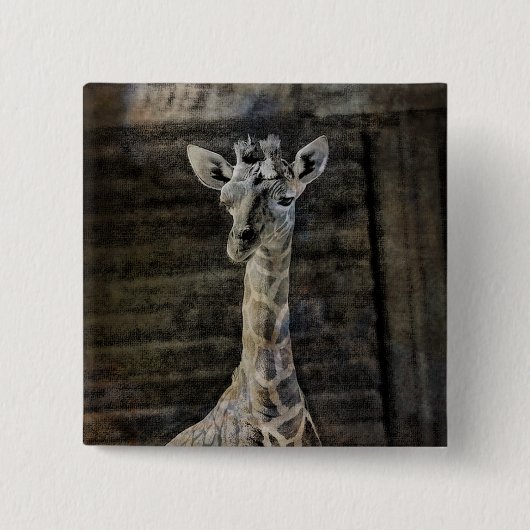 Badge Carré 5 Cm Baby Giraffe (Devant)