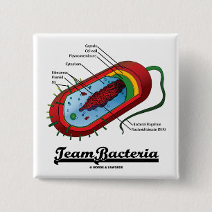 Badge Carré 5 Cm Bactéries d'équipe (Prokaryote)