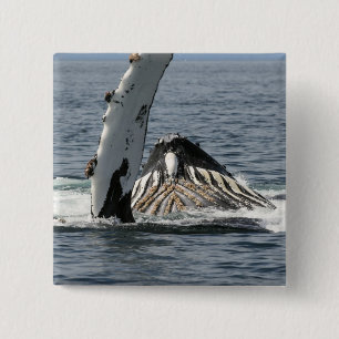 Badge Carré 5 Cm Baleine à bosse