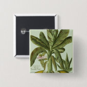 Badge Carré 5 Cm Banane, de Phytanthoza Iconographi de J. (Devant & derrière)