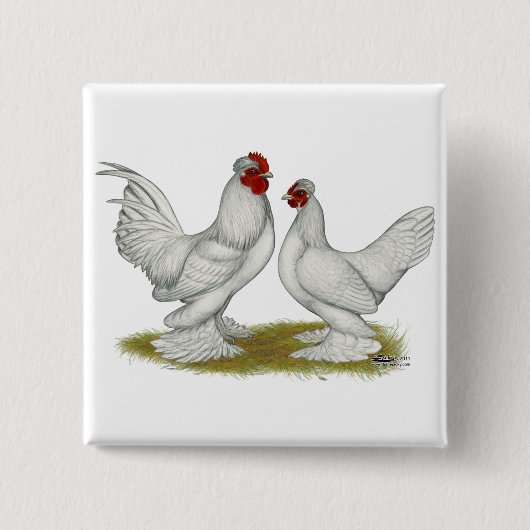 Badge Carré 5 Cm Bantams birmans (Devant)