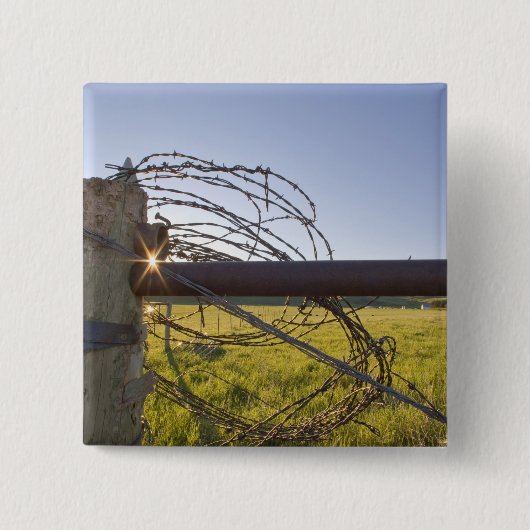 Badge Carré 5 Cm Barbelé roulé sur le fencerow près (Devant)