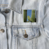 Badge Carré 5 Cm Barrel Cactus I Desert Photo (En situation)