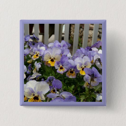 Badge Carré 5 Cm Barrière de bleus de pensée (Devant)