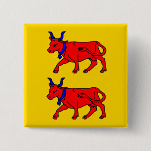 Badge Carré 5 Cm Bearn, drapeau de la France