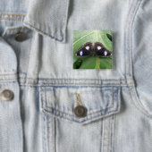 Badge Carré 5 Cm Beau Bleu pointé Button Papillon (En situation)