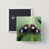 Badge Carré 5 Cm Beau Bleu pointé Button Papillon (Devant & derrière)