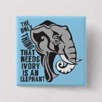 Beau éléphant