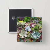 Badge Carré 5 Cm Beaux succulents (Devant & derrière)