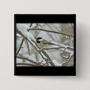 Badge Carré 5 Cm Bécasseau à calotte noire dans la tempête de neige