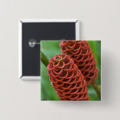 Badge Carré 5 Cm Behive Ginger, Zingiber spectabile), (Devant & derrière)