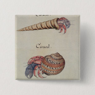 Badge Carré 5 Cm Bernard l'ermite