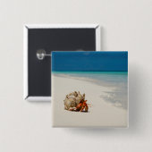 Badge Carré 5 Cm Bernard l'ermite de fraise | Coenobita Perlatus (Devant & derrière)