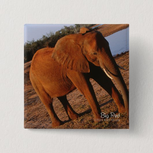 Badge Carré 5 Cm Big Red (Devant)