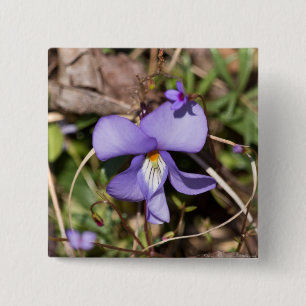Badge Carré 5 Cm Birds-Foot Violet w/ Bluets