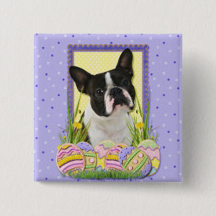 Badge Carré 5 Cm Biscuits d'oeuf de pâques - Boston Terrier