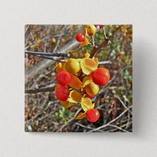 Badge Carré 5 Cm Bitsweet Vine Berries Produits