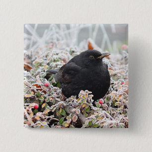 Badge Carré 5 Cm Blackbird d'hiver