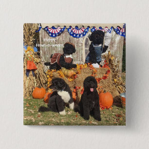 Badge Carré 5 Cm Bo et Halloween ensoleillé - Épingle