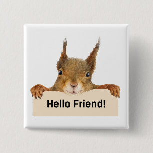 Badge Carré 5 Cm Bonjour ami Funny Squirrel