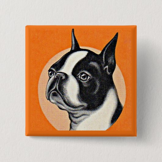 Badge Carré 5 Cm Boston terrier (Devant)