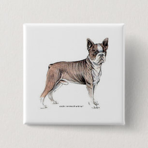 Badge Carré 5 Cm Boston Terrier