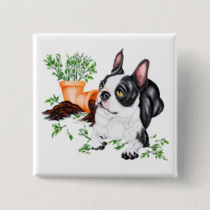 Badge Carré 5 Cm Boston Terrier Naughty Pup Button