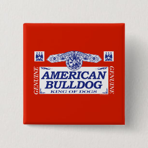 Badge Carré 5 Cm Bouledogue américain