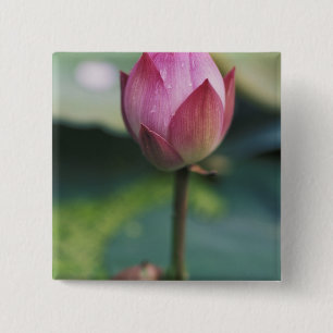 Badge Carré 5 Cm Bourgeon de fleur de lotus, Hangzhou, province de