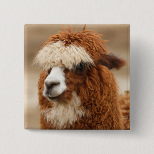 Badge Carré 5 Cm Bouton Alpaca