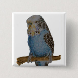 Badge Carré 5 Cm bouton bleu de perruche