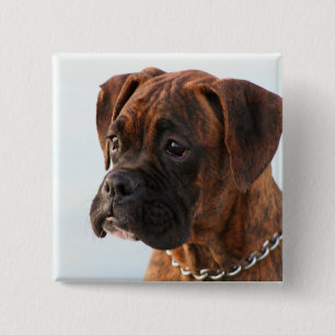 Badge Carré 5 Cm Bouton Brindle de chiot de boxeur