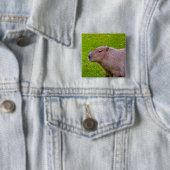 Badge Carré 5 Cm Bouton Capybara (En situation)