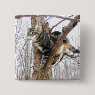 Badge Carré 5 Cm Bouton carré Tabby Cat