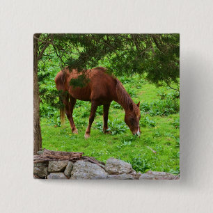 Badge Carré 5 Cm Bouton Cheval